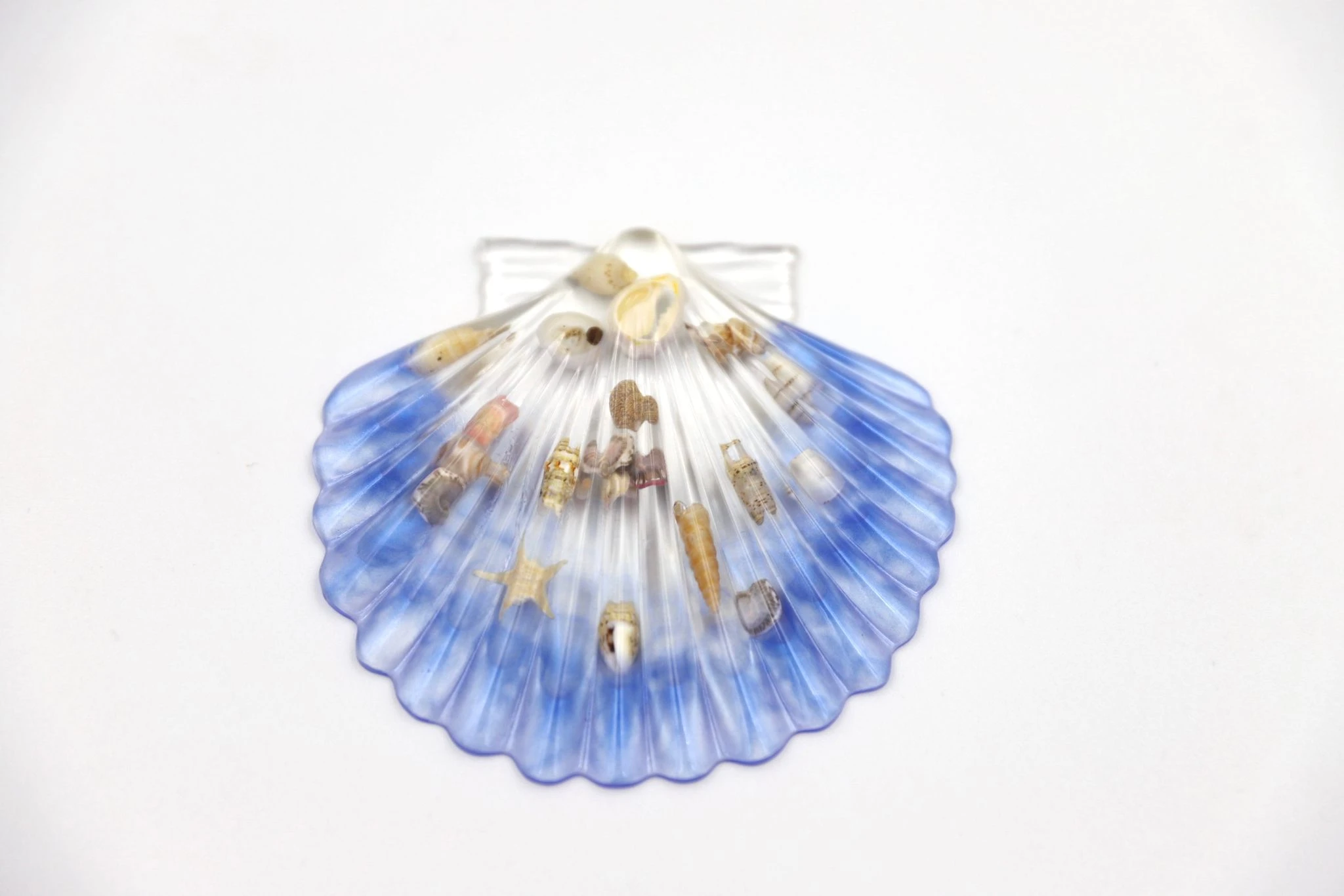 Shell
