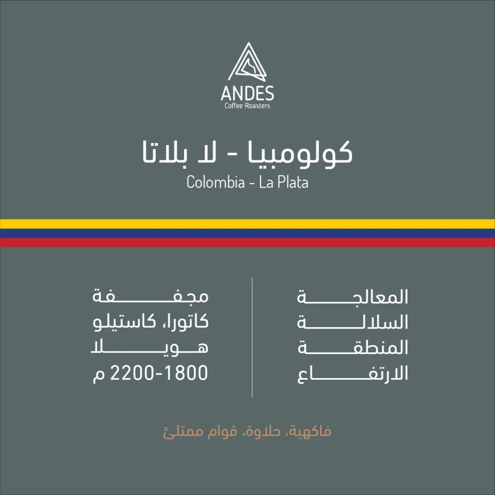 أنديز - لا بلاتا